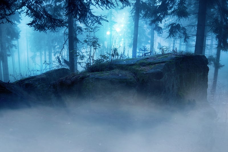Mysterious Forest